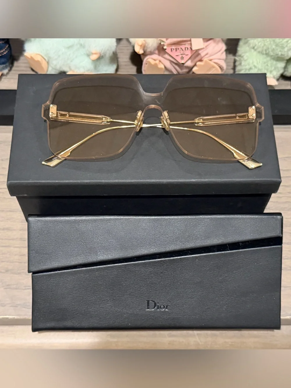 Dior Colorquake Sunglasses